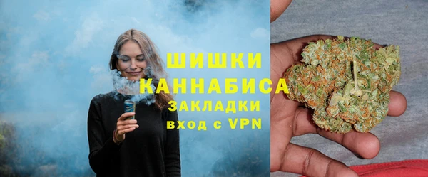 гашик Инсар