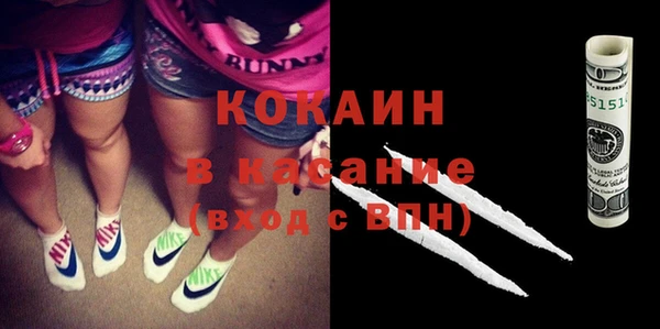 mix Инта