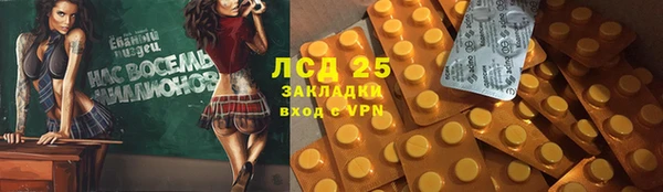 mix Инта