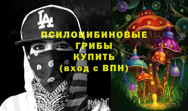 mix Инта