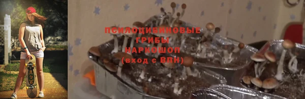 гашик Инсар