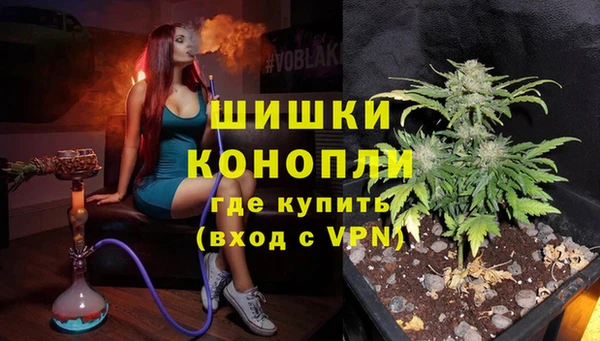 гашик Инсар