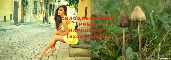 гашик Инсар