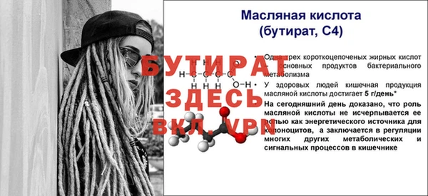 mix Инта