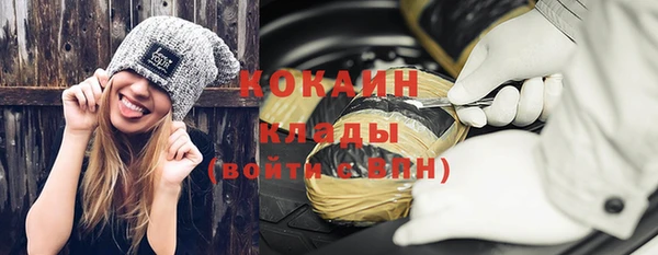 гашик Инсар
