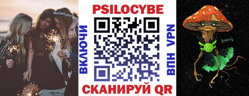 Псилоцибиновые грибы Psilocybe  Купить где  Бердск 