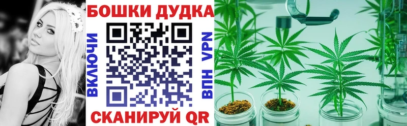 Бошки марихуана сатива  Купить  Бердск 